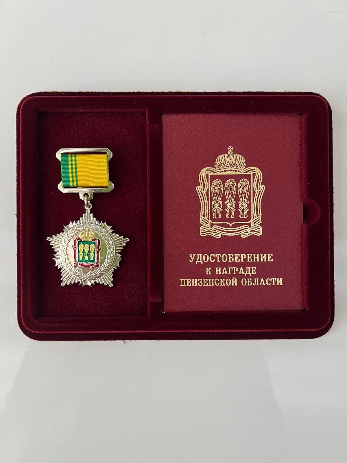 Губернатор Олег Мельниченко  наградил Рашида Хайрова орденом За заслуги перед Пензенской областью III степени
